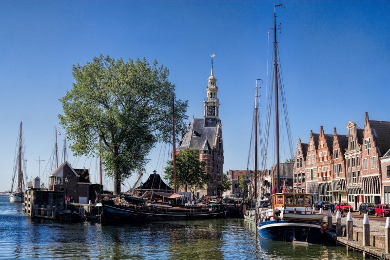 Hoorn