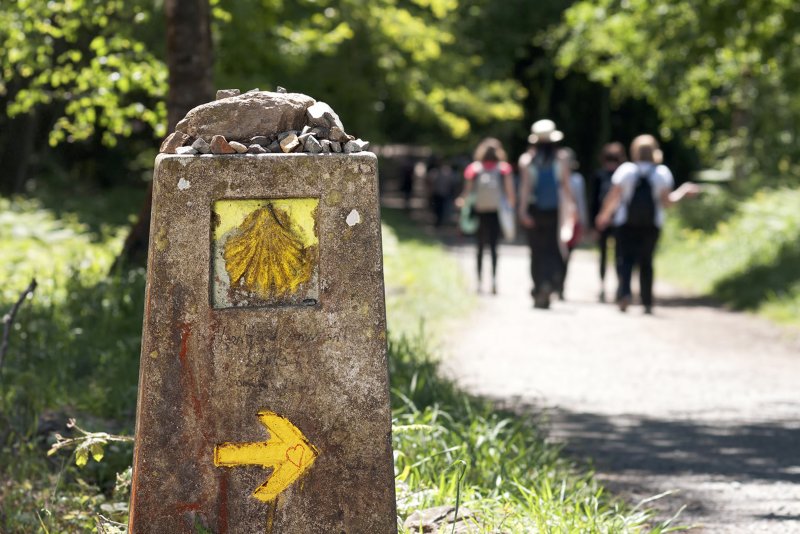 Camino Santiago de compostela