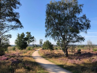 Holten fietsvakantie IJssel en Vecht