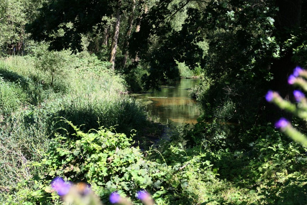 Fietstochten Overijssel