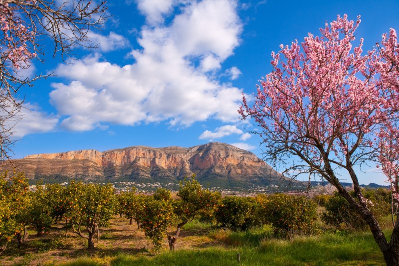 Denia