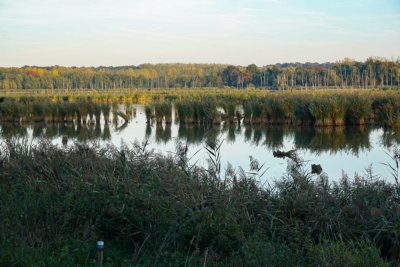 Het Vinne - fietsen door belgie