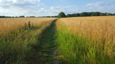 Zenderen wandelvakantie twente twentepad