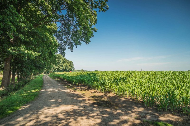 Deuringen Fietsvakantie