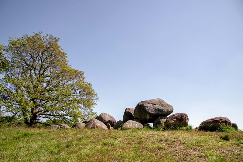 Assen-hunebedden