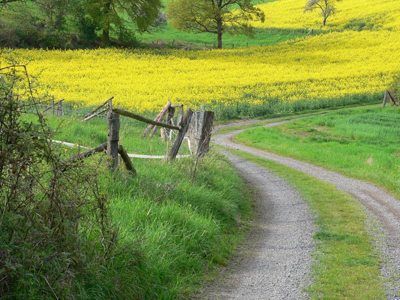 Eifel-wandelpad