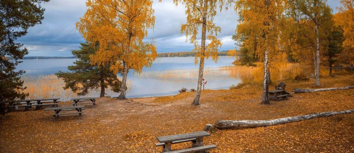 Indian Summer in Zweden