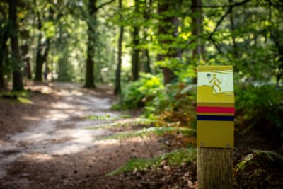 Wandelroute Kaapse Bossen