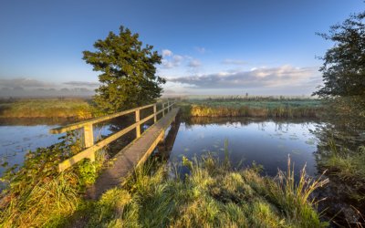 Pieterpad wandelvakantie Anderen