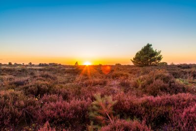 Pieterpad wandelvakantie hellendoorn