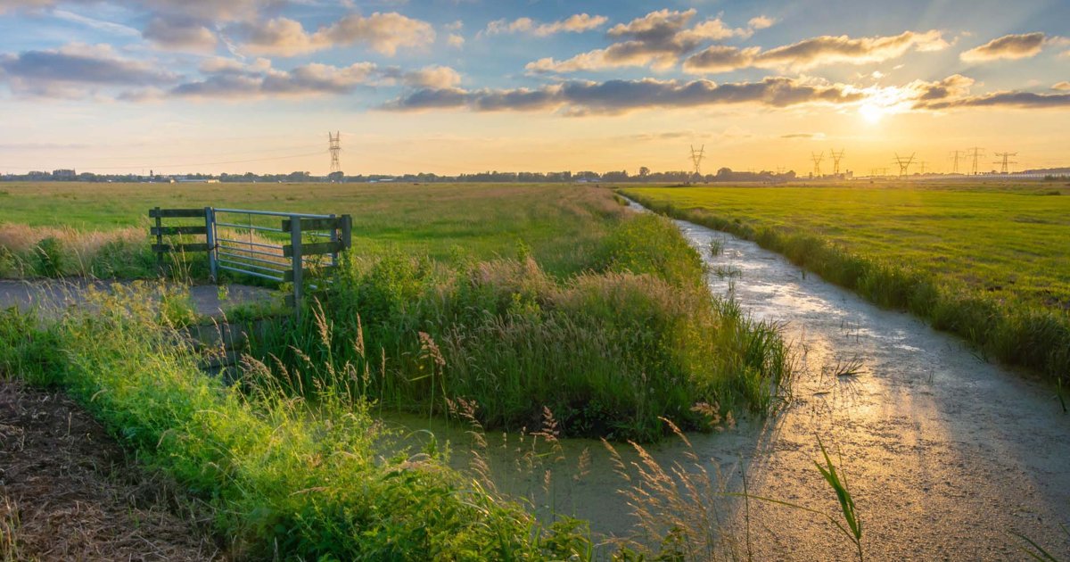 Fietsvakantie Hollands Waterlandschap - Utrecht en Groene Hart