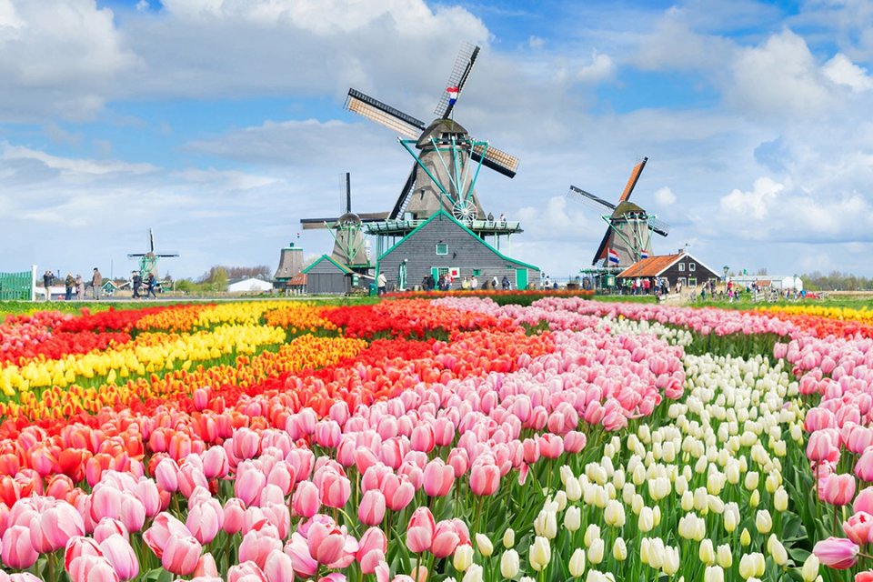 Fietsvakantie in Nederland