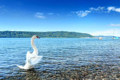 Konstanz bodensee fietsvakantie