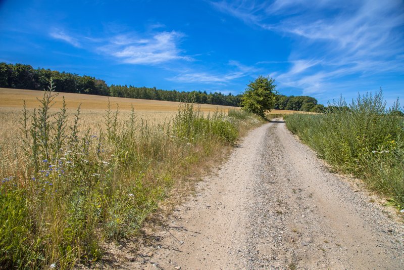 Pieterpad Doetinchem wandelvakantie