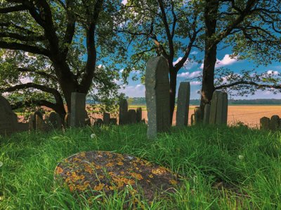 Hardenberg pieterpad wandelvakantie