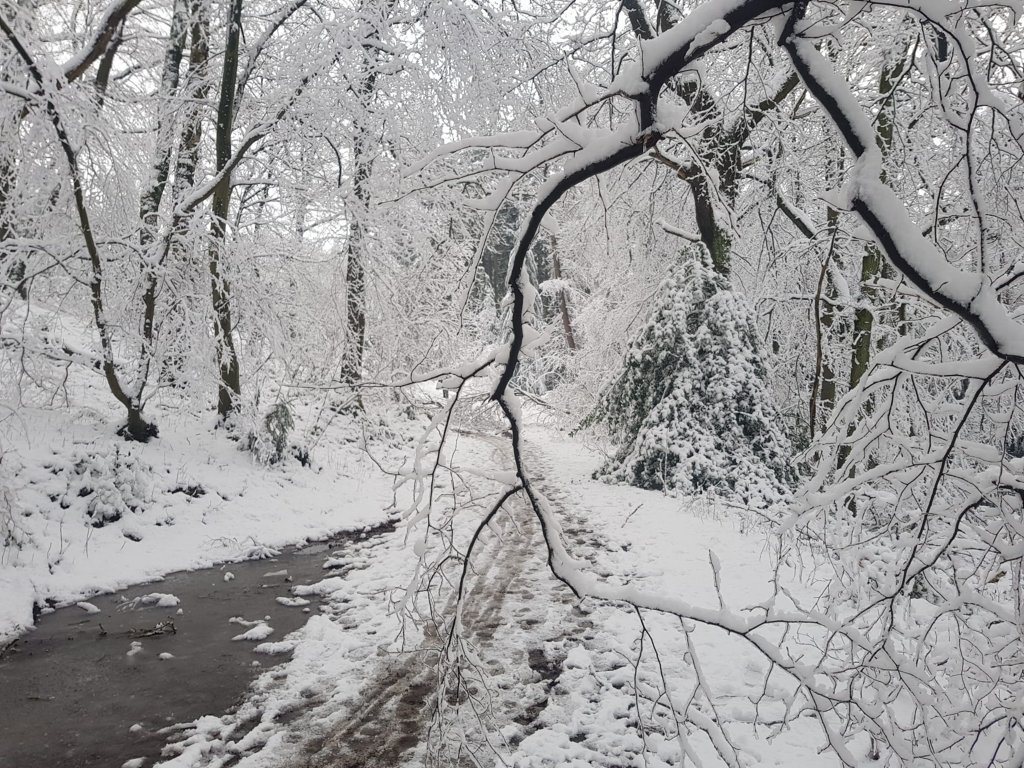 Zuid Limburg-Dutch mountain trail