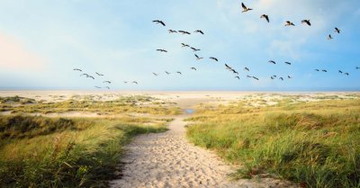 Langeoog fietsvakantie duitsland