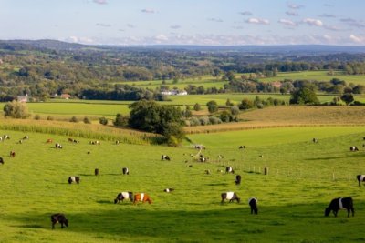 Wandelvakantie - dutch mountain trail - epen