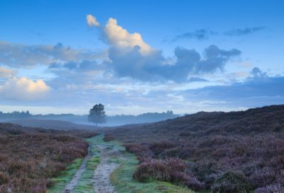 Pieterpad wandelvakantie Zuid Laren