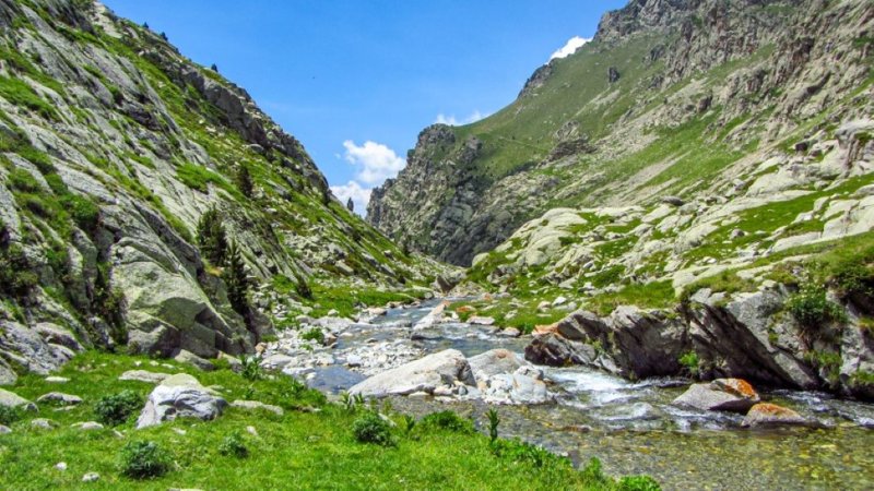 Pyreneeen