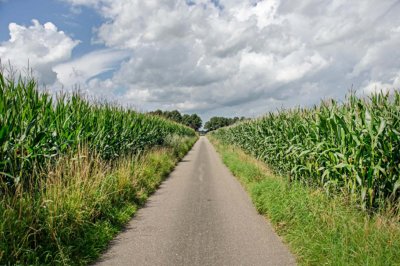 twente fietsvakantie