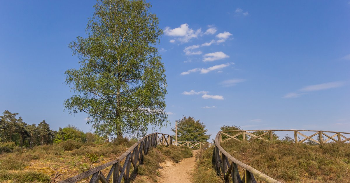 Wandelvakantie Pieterpad in etappes - 4, 6, 7 of 29 dagen