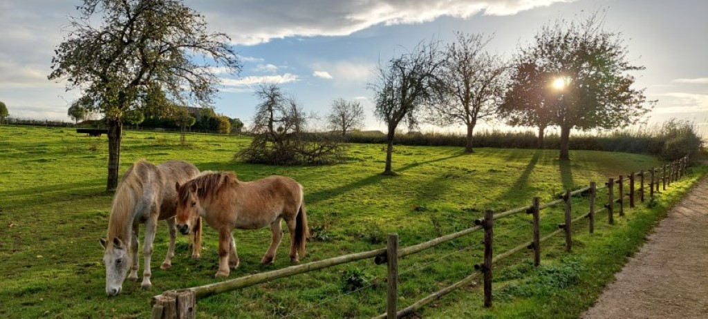 Zuid-Limburg