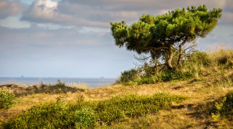 Vlieland