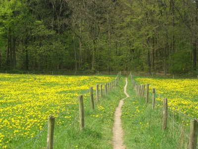 Pieterpad wandelvakantie Groesbeek