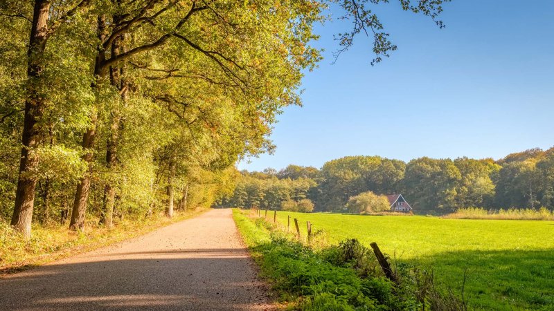 Tankenberg, De Lutte