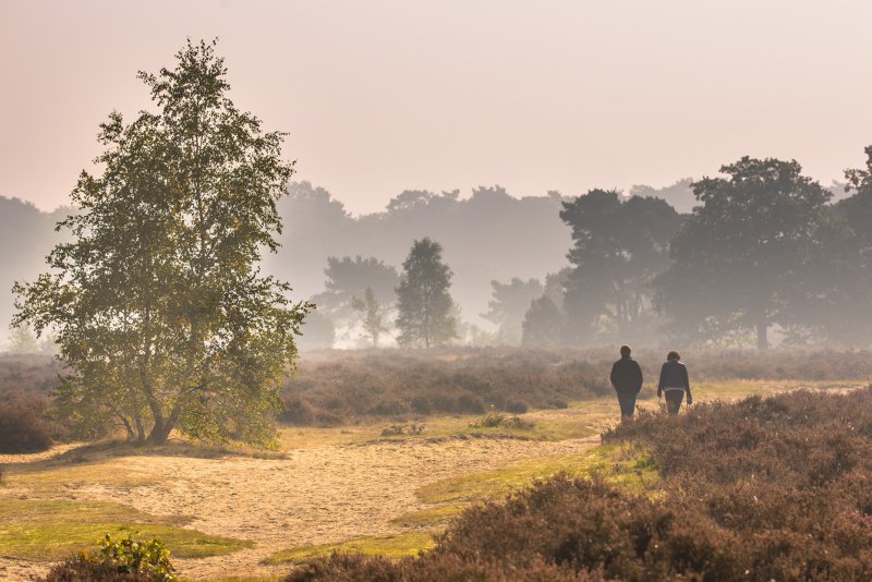 Pieterpad Sallandse heuvelrug wandelen