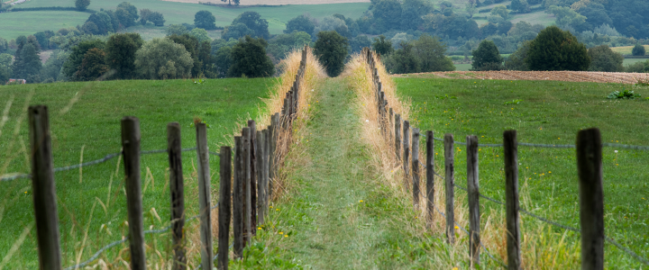 Wandelen Geuldal