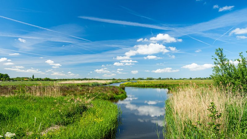 Polder Schiedam fietsvakantie